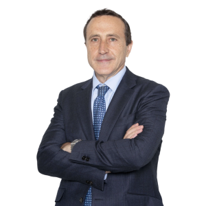 Consuelo Cameselle González, Sector seguros en España 